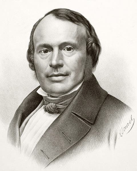 Portrait of Louis Agassiz, lithograph, ca 1850 (Wikimedia commons)