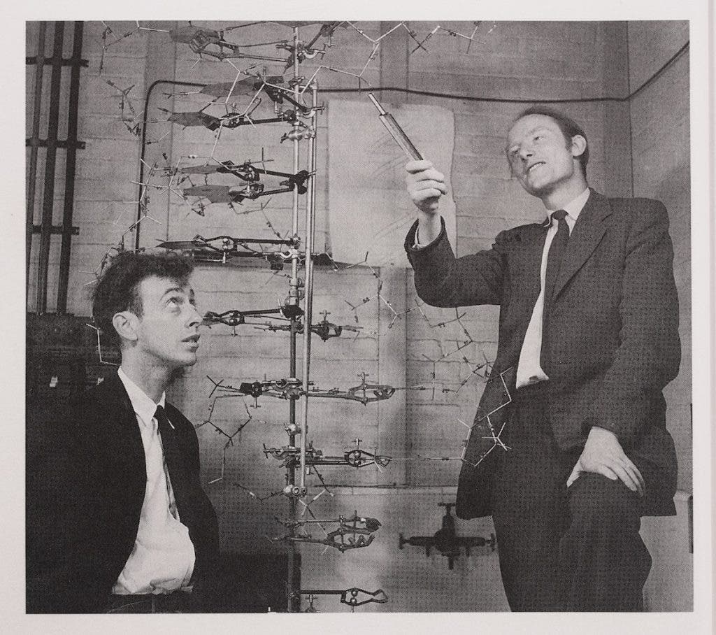 Image source: Edelson, Edward. Francis Crick and James Watson and the Building Blocks of Life. Oxford UP, 1998. View Source