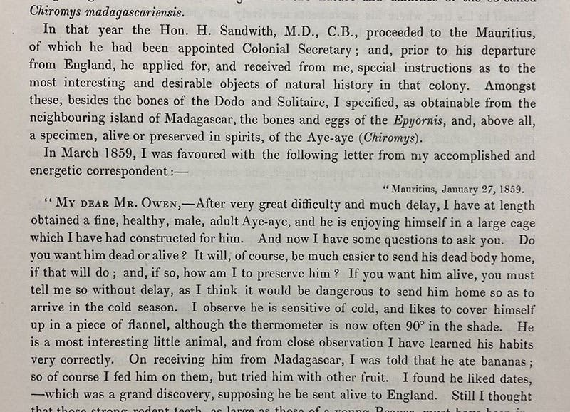 Beginning of Humphry Sandwith’s letter to Richard Owen on the habits of the aye-aye, quoted in “On the Aye-aye …,” by Richard Owen, Transactions of the Zoological Society of London, vol. 5, 1866 (Linda Hall Library)