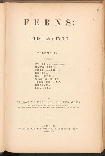 Title page, Ferns: British and Exotic, by Edward Joseph Lowe, vol. 4, 1858-64 (Linda Hall Library)