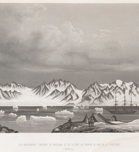 View of the glaciers and mountains near Madelaine Bay, Spitzbergen, aquatint, from Joseph-Paul Gaimard, <i>Voyages … en Scandinavie, en Laponie, au Spitzberg et aux Feröe</i>, 1840-55<i>Atlas geologique</i>  (Linda Hall Library)