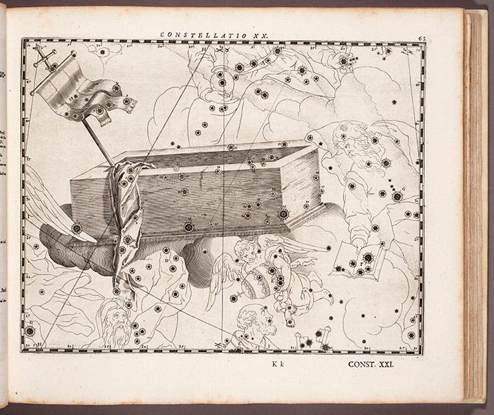 Sepulcher or Andromeda, engraving, plate 20, Julius Schiller, Coelum stellatum Christianum, 1627 (Linda Hall Library)