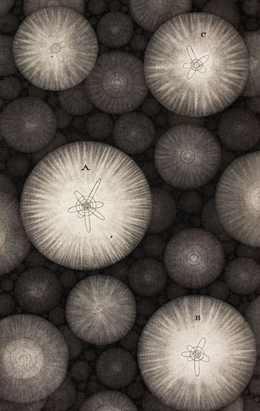 Nearby stars with planetary system; A is the Sun, C is Sirius, mezzotint in Thomas Wright, An Original Theory or New Hypothesis of the Universe, 1750 (Linda Hall Library)