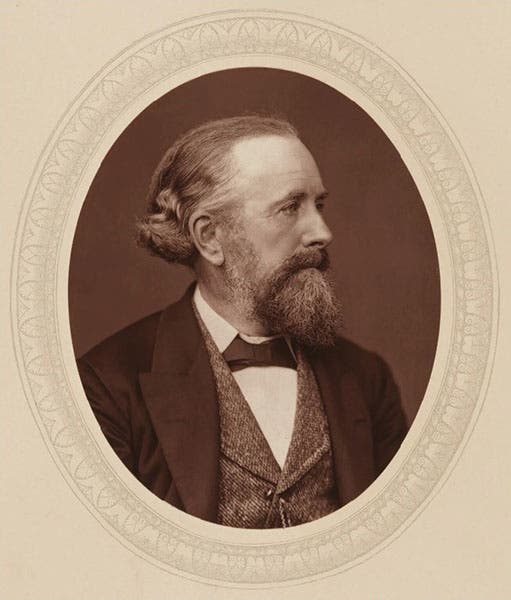 Portrait of Edward Frankland, X Club member, photograph, 1880, National Portrait Gallery (npg.org.uk)