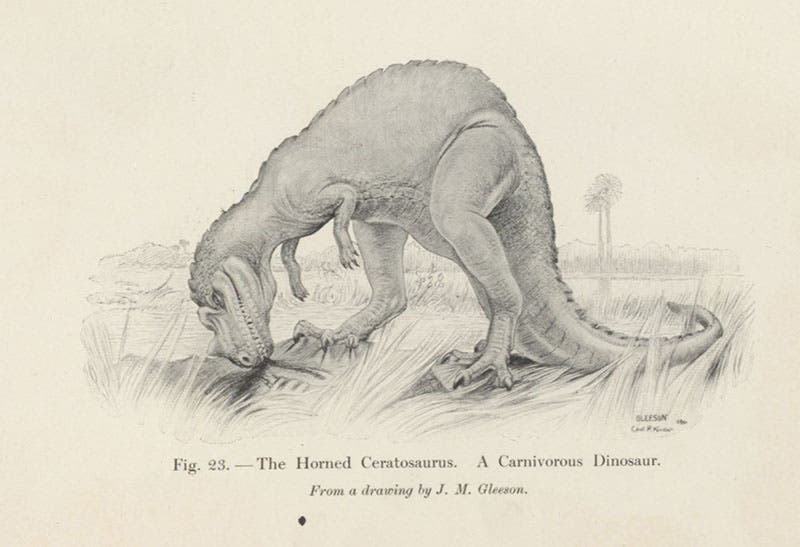 Ceratosaurus, restoration by J.M. Gleason, plate in Animals of the Past, by Frederic A. Lucas, 1901 (Linda Hall Library)