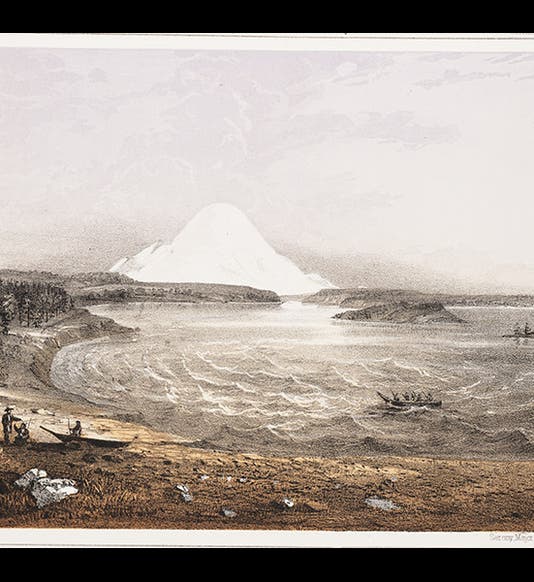 1112_006, 1/12/18, 10:17 AM,  8C, 6000x8000 (0+0), 100%, Custom,  1/60 s, R63.4, G51.0, B59.8