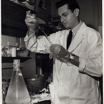 Marshall Nirenberg in the lab, photograph, 1962, National Institutes of Health (Wikimedia commons)