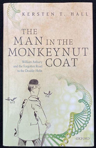Dust jacket, with cartoon of William T. Astbury, The Man in the Monkeynut Coat, by Kersten T. Hall (Oxford Univ. Pr., 2014) (Author’s copy)