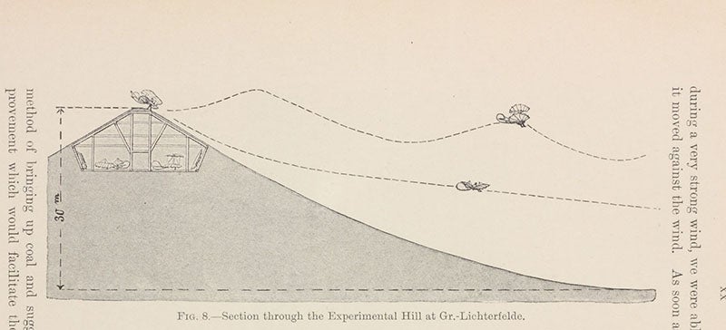 Cut-away section of Lilienthal’s artificial Fliegeberg, or flight-hill, from which he launched his gliders, in Birdflight as the Basis for Aviation, by Otto Lilienthal, 1911 (Linda Hall Library)