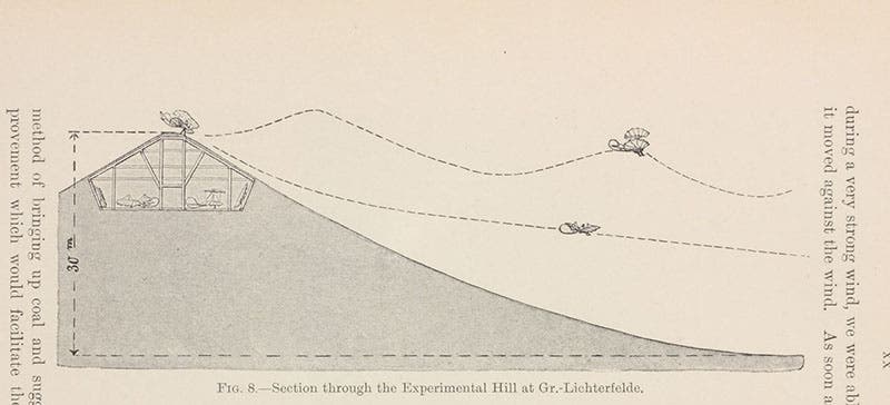 Cut-away section of Lilienthal’s artificial Fliegeberg, or flight-hill, from which he launched his gliders, in Birdflight as the Basis for Aviation, by Otto Lilienthal, 1911 (Linda Hall Library)