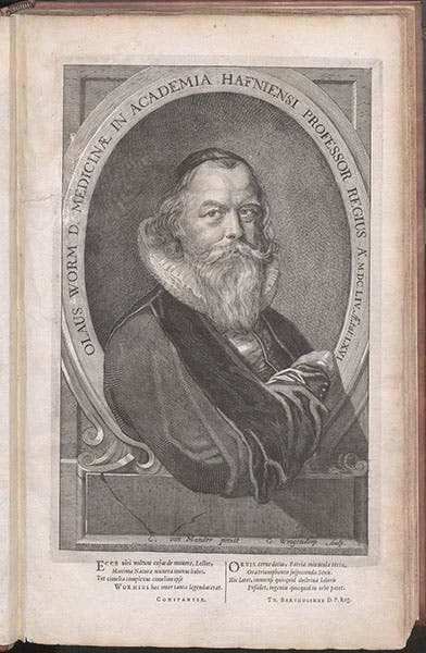 Portrait of Ole Worm, second engraved frontispiece, Museum Wormianum, by Ole Worm, 1655 (Linda Hall Library)