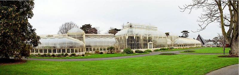 The Curvilinear Range, National Botanic Gardens of Ireland, Glasnevin, Dublin, built by Richard Turner, 1848 (dimp.ie)