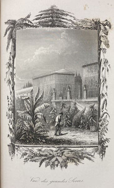 View of the greenhouses at the Jardin des Plantes, full-page engraving, Le muséum d'histoire naturelle, by Paul-Antoine Cap, part 2, opp. p. 12, 1854 (Linda Hall Library)