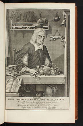 Portrait of Georg Eberhard Rumpf, engraving, in his <i>D’Amboinsche rariteitkamer</i>, 1741 (Linda Hal Library)