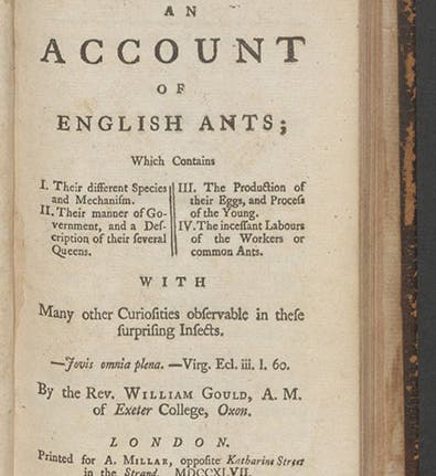 Title page, <i>An Account of English Ants</i>, by William Gould, 1747 (Linda Hall Library)