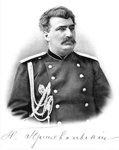 Portrait of Nikolay Przhevalsky, undated, published 1888 (Wikimedia commons)