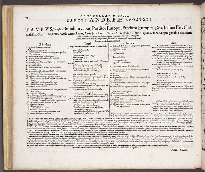 The printed table for the St. Andrew plate, in Julius Schiller, Coelum stellatum christianum, 1627 (Linda Hall Library)