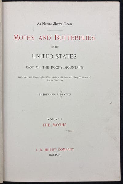 Title page, As Nature Shows Them: Moths and Butterflies of the United States, by Sherman Foote Denton, vol. 1, 1900 (Linda Hall Library)