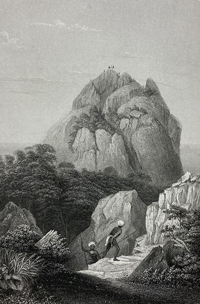 Observatory Peak on Feejee, full-page etching, here cropped to image margin, based on a drawing by Alfred T. Agate, in Narrative of the United States Exploring Expedition, by Charles Wilkes, 1845, quarto ed., vol. 3 (Linda Hall Library)