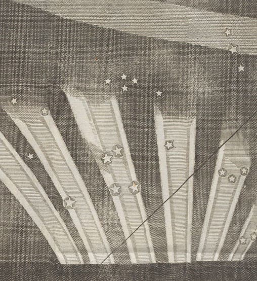 The six-tailed comet of 1744, detail of an engraving in Jean-Philippe Loys de Cheseaux, <i>Traité de la comete</i>, 1744 (Linda Hall Library)