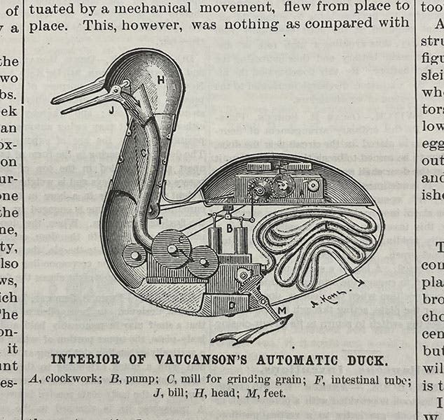 “Vaucanson’s Automatic Duck,” a fanciful reconstruction on paper of the innards of the Defecating Duck, Scientific American, Jan. 21, 1899 (Linda Hall Library)