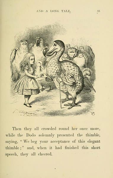 Alice with the Dodo, wood engraving after a drawing by John Tenniel, Alice’s Adventures in Wonderland, by Lewis Carrol, p. 35, 1866, Gettysburg College Library (archive.org)