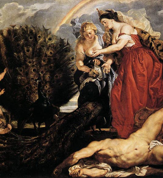 <i>Juno and Argus</i>, oil on canvas, by Peter Paul Rubens, ca 1610, Wallraf-Richartz Museum, Cologne (wga.hu)