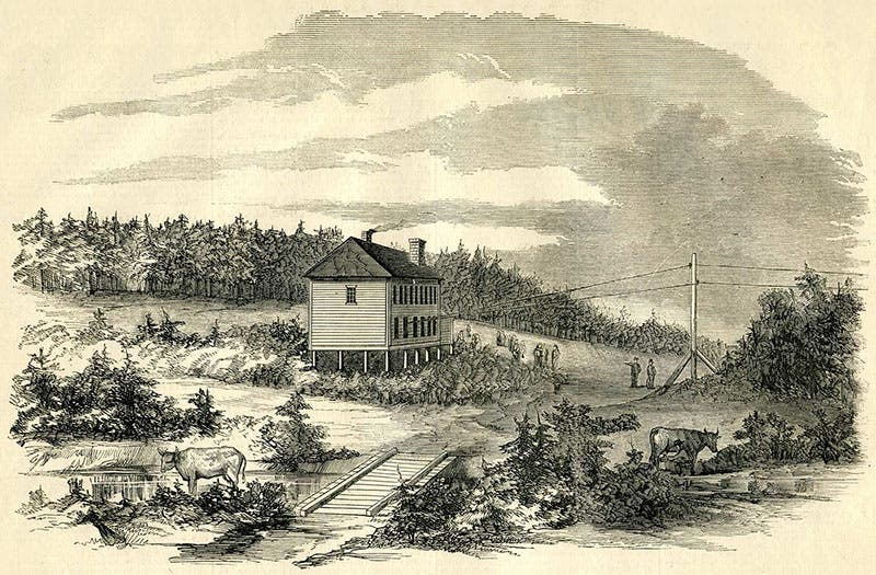 Telegraph House, Bay Bulls Arm, Trinity Bay, Newfoundland, already connected to New York City, and ready to receive the Atlantic Cable, Frank Leslie’s Illustrated Newspaper, Sept. 4, 1858, reproduced on atlantic-cable.com (atlantic-cable.com)