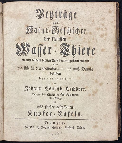 Title page, Beyträge zur Naturgeschichte der kleinsten Wasserthiere, by Johann Conrad Eichhorn, 1781; gift of Ruth Patrick (Linda Hall Library)