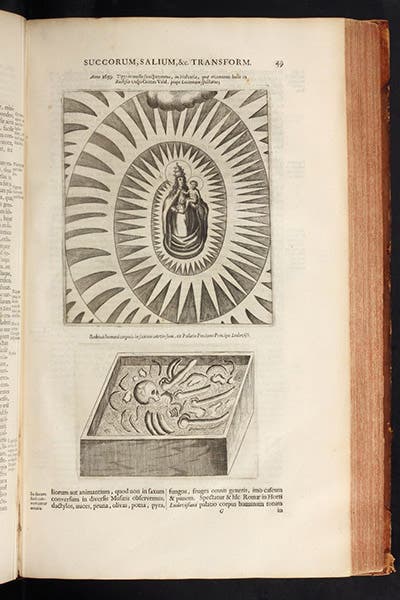A geode that resembles the Virgin and Child, text engraving, Athanasius Kircher, Mundus subterraneus, vol. 2, 1665 (Linda Hall Library)