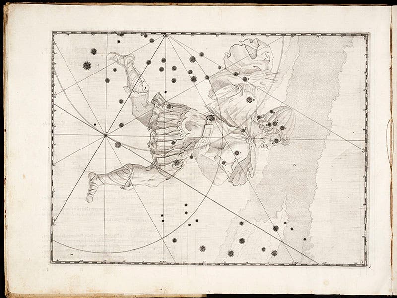 The constellation Cepheus, engraving, in Johann Bayer, Uranometria, 1603. Delta Cephei is the star on the forehead of Cepheus (Linda Hall Library)