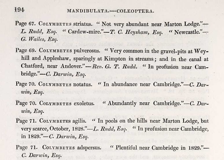 Detail of a page from the appendix, with 5 citations to Charles Darwin, in James Francis Stephens, Illustrations of British Entomology, vol. 2, 1829 (Linda Hall Library)