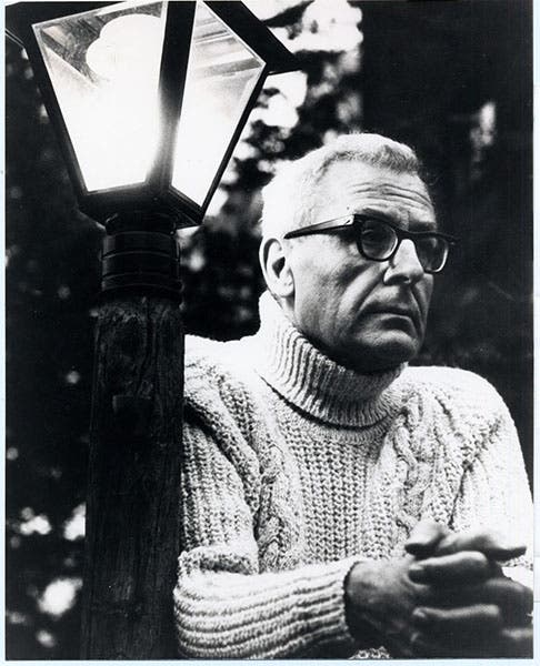 Portrait of Loren Eiseley, undated photograph, 1970s (facebook.com/LorenEiseleySociety)