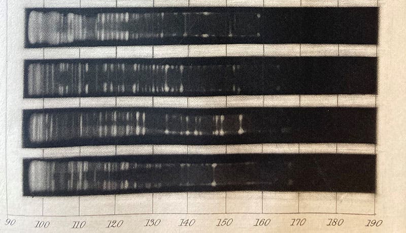 Detail of several chemical spectra, mezzotints by James Basire III to accompany paper by William Allen Miller, Philosophical Transactions of the Royal Society of London, vol. 152, pl. 39, 1862 (Linda Hall Library)