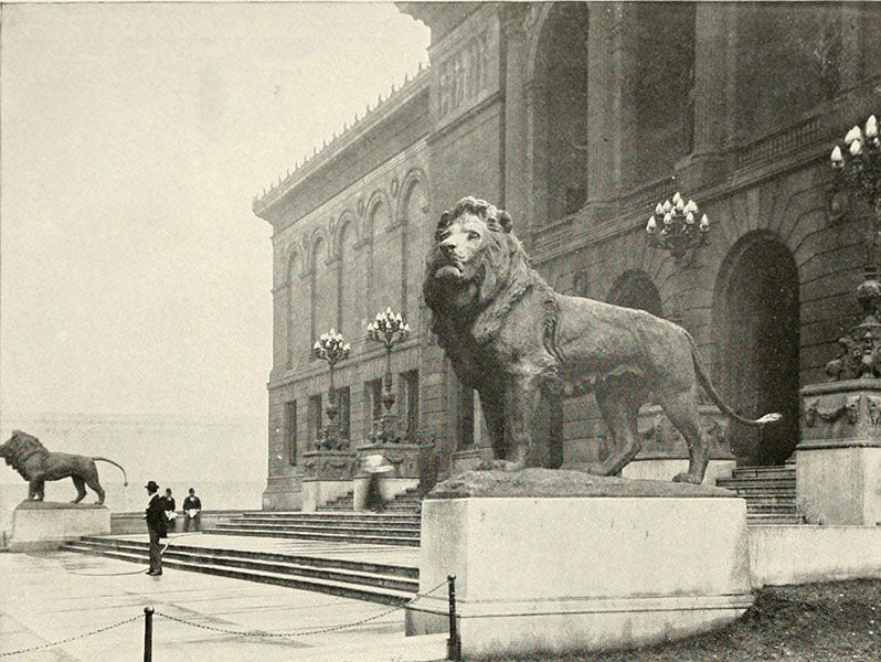 Bronze lions, sculpted by Edward Kemeys, flanking the entrance to the Art Institute of Chicago, photograph, ca 1900 (artic.edu)