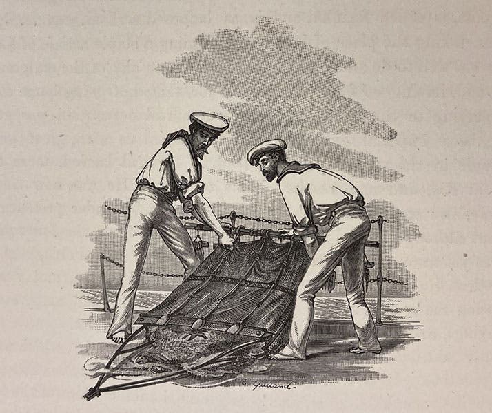 Examining the contents of a dredge, engraved tailpiece, Report on the Scientific Results of the Voyage of H.M.S. Challenger during the years 1873-76, Narrative, ed. by C. Wyville Thomson and John Murray, vol. 1, 1885 (Linda Hall Library)