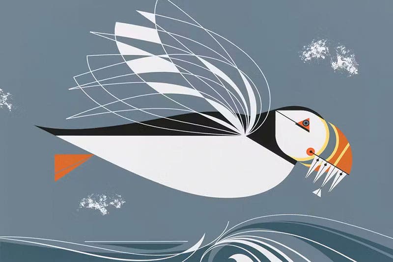 Puffin, serigraph by Charley Harper, 1971 (ohiomagazine.imgix.net)
