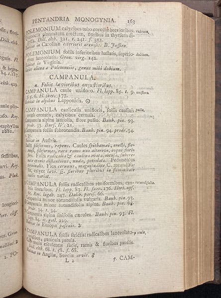 Sample page, Campanula, Species plantarum, by Carl Linnaeus, vol. 1, p. 153, 1753, (Linda Hall Library)