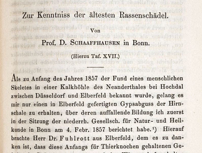 Detail of opening page of Hermann Schaaffhausen’s paper in Archiv fur Anatomie, Physiologie und Wissenschaftliche Medicin, vol. 25, 1858 (Linda Hall Library)
