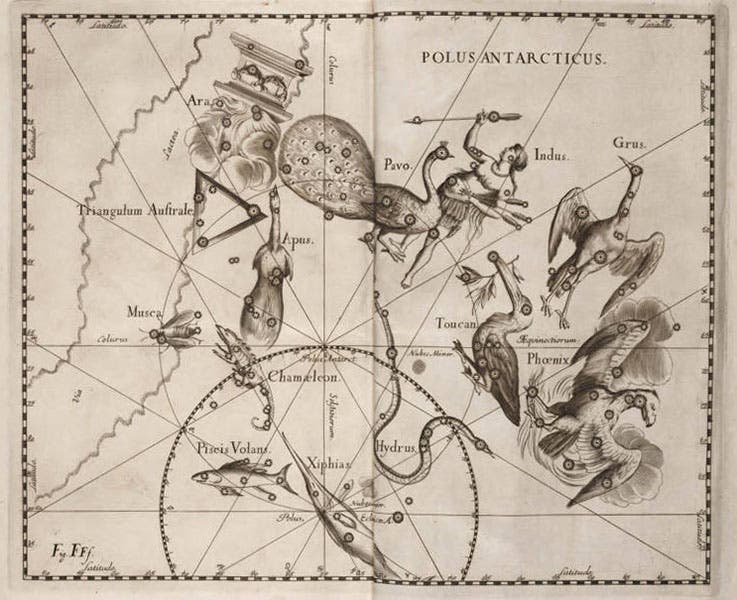 The 12 southern constellations of Houtman and Keyser, as depicted in Johannes Hevelius, Firmamentum sobiescianum, 1690 (Linda Hall Library)