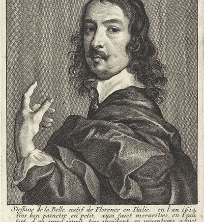 Portrait of Stefano della Bella, engraving by Wencelaus Hollar after painting by Nicolaes van Helt Stockade, in Jan Meyssens, <i>Image de divers hommes</i>, 1649 (Wikimedia commons)