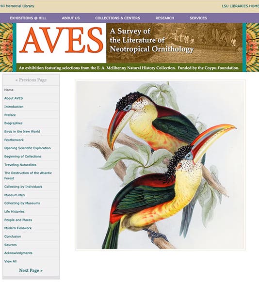 Home page of the online exhibition, <i>Aves: A Survey of the Literature of Neotropical Ornithology</i>, showcasing the McIlhenny Collection, 2011 (LSU Libraries Special Collections)