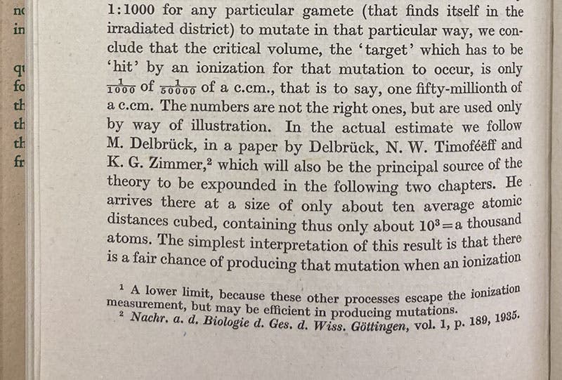 Detail of page 44 of What is Life? The Physical Aspect of the Living Cell, by Erwin Schrödinger, 1944, citing the Three-Man Paper (author’s copy)