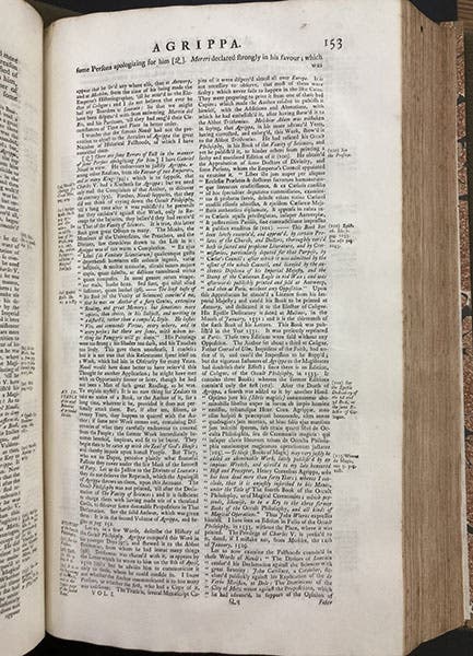 A later page of the entry on “Heinrich Agrippa,” with one line of text and the rest footnotes, Pierre Bayle, Dictionary Historical and Critical, 2nd ed., vol. 1, 1734 (Linda Hall Library)