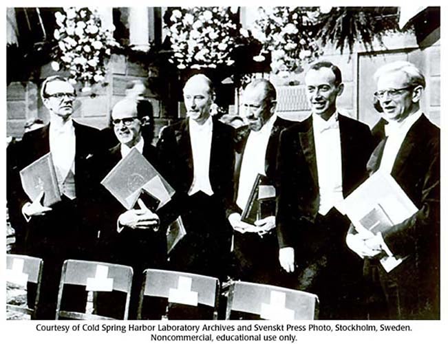 The six recipients of the Nobel Prize for 1962; Maurice Wilkins is at far left; John Steinbeck stands between Francis Crick (third from left) and James Watson (fifth from left) (Cold Spring Harbor Laboratories)
er for Fri
