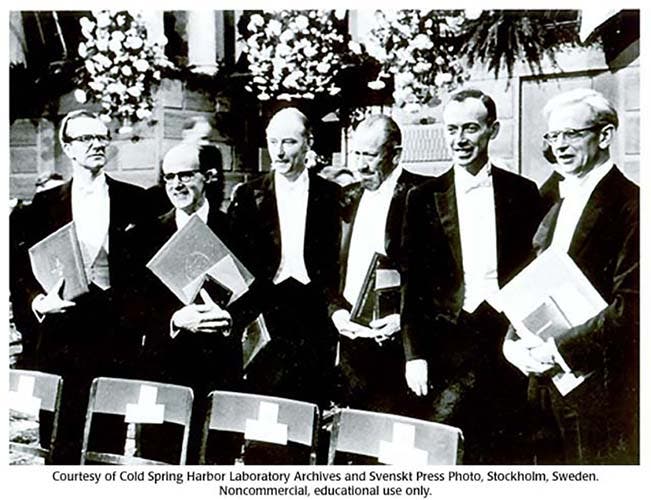 The six recipients of the Nobel Prize for 1962; Maurice Wilkins is at far left; John Steinbeck stands between Francis Crick (third from left) and James Watson (fifth from left) (Cold Spring Harbor Laboratories)
er for Fri