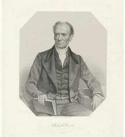 Portrait of Robert Grant, lithograph by Thomas Maguire, 1852, National Portrait Gallery, London (npg.org.uk)