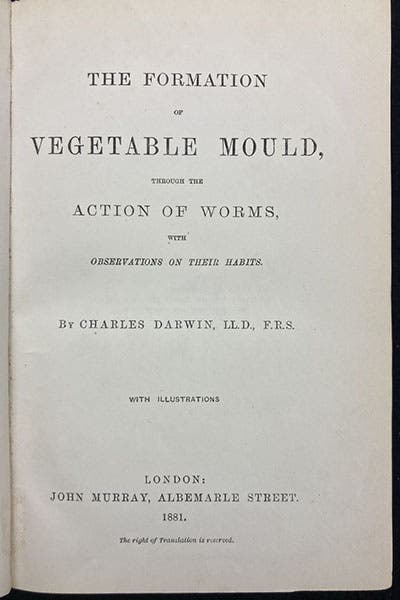 Title page, The Formation of Vegetable Mould, through the Action of Worms, by Charles Darwin, 1881 (Linda Hall Library)