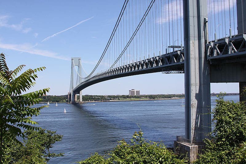 Verrazzano-Narrows Bridge, recent photograph by Joe Mazzola (Wikimedia commons)