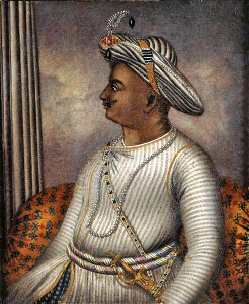 Portrait of Tipu Sultan, 1792 (British Library via Wikipedia)